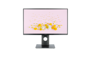 LCD  Dell P2417H